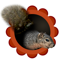 The Nifty Squirrel